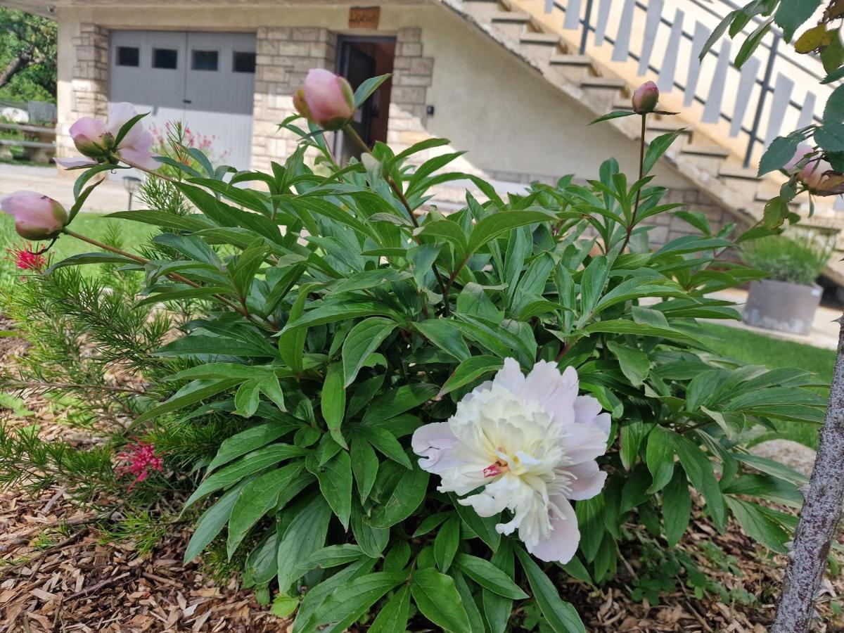Gite L'Enclos O Rendez-Vous Roquefeuil-Pays De Sault- Avec Jardin Exterior foto