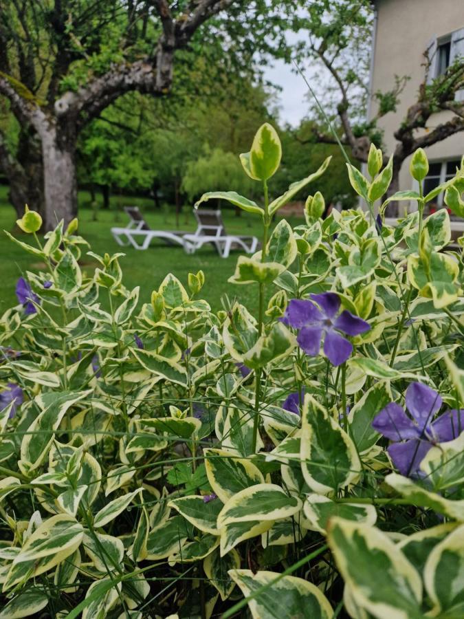 Gite L'Enclos O Rendez-Vous Roquefeuil-Pays De Sault- Avec Jardin Exterior foto
